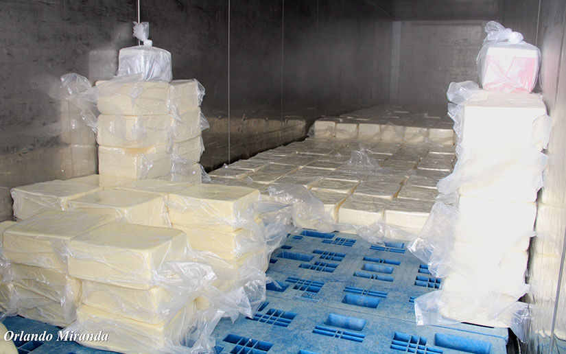estrategia-produccion-lactea